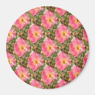 Felder von Rose.... Magnet
