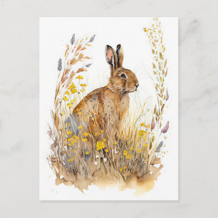 Feldhase zwischen bunten Blumen und Gräsern Postkarte