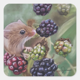 Feldmäuse und Beeren Quadratischer Aufkleber