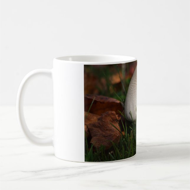 Feldpilz im Wald Kaffeetasse (Links)