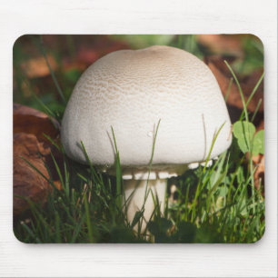 Feldpilz im Wald Mousepad