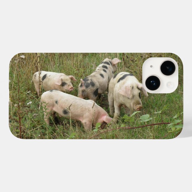 Feldschweine Case-Mate iPhone Hülle (Rückseite (Horizontal))