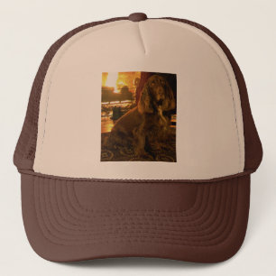 Feldspaniel durch Kamin Truckerkappe