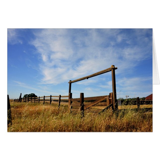Feldzäune (Vorderseite (Horizontal))