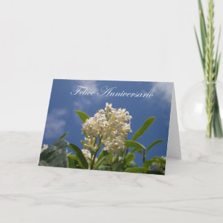 Felice Anniversario - glücklicher Jahrestag Karte