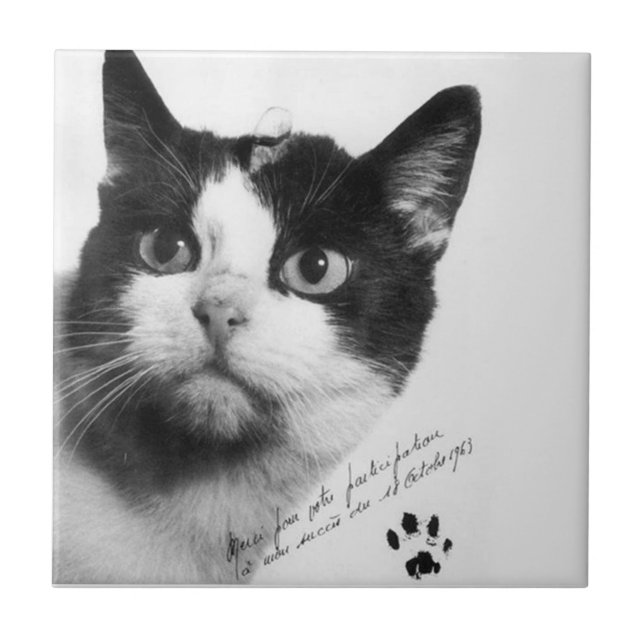 Félicette: Die erste Katze im All Fliese (Vorderseite)