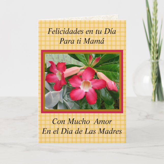 Felicidades Mama en el Dia de Las Madres 1021 Karte (Vorderseite)