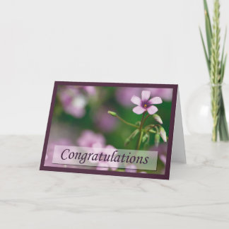 Félicitations - carte de voeux rose d'oxalide