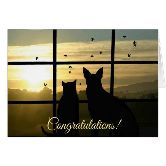 Félicitations pour être devenu Vétérinaire. (Devant horizontal)