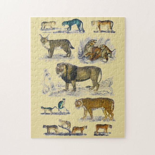 Feline Animals (Vertikal)