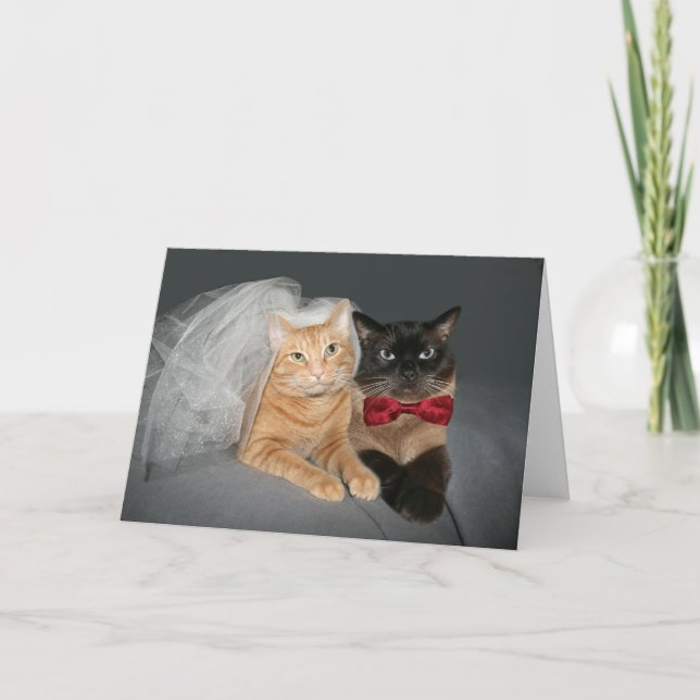 Feline Bride und Groom Ankündigung (Vorderseite)