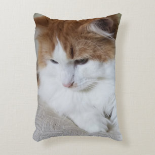 (Feline Extravagant) Kitty Contemplation: Cat Foto Dekokissen