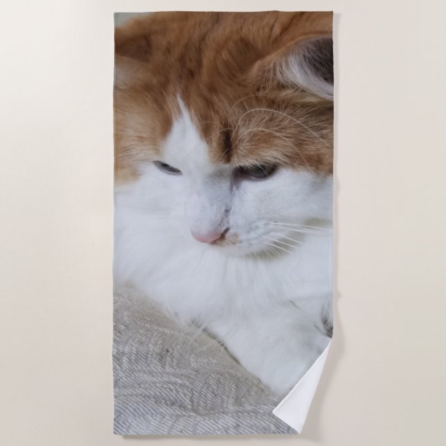 (Feline Extravagant) Kitty Contemplation: Cat Foto Strandtuch (Vorderseite)
