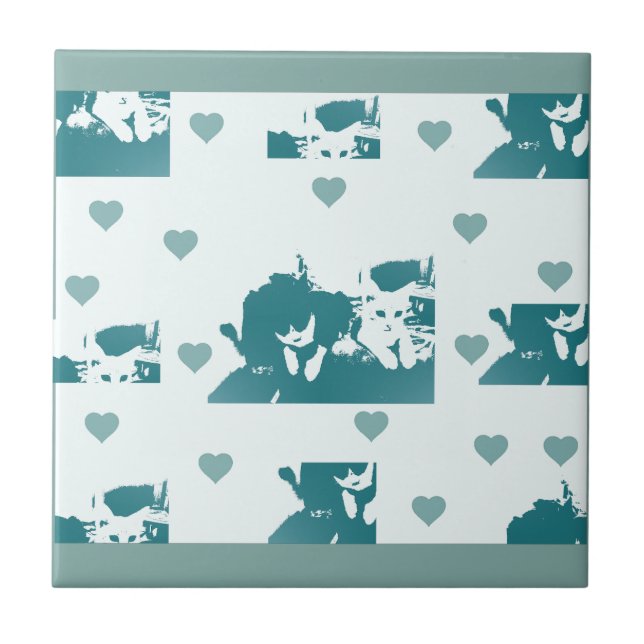 Feline Friends. Adorable Kitten Duo. Fliese (Vorderseite)