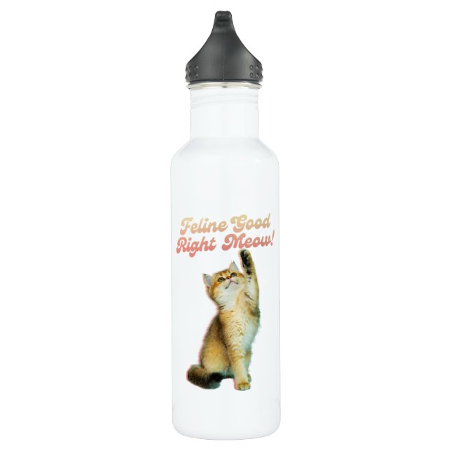 Feline Good Right Meow Funny Cat Zitat Niedlich Ki Edelstahlflasche (Rechts)