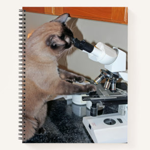 Feline Microscopy: Eine merkwürdige Untersuchung Notizbuch