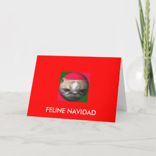 Feline Navidad Feiertagskarte