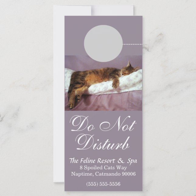 Feline Resort Ne Dérangez Pas La Carte Rack Person (Devant)
