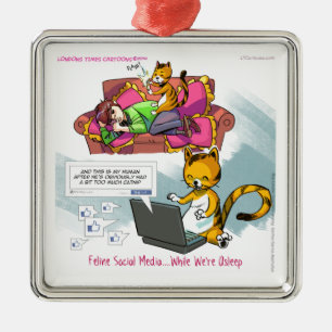 Feline Social Media Funny Silbernes Ornament
