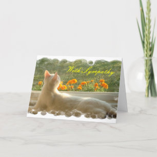 Feline Sympathy Card Karte
