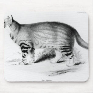 Felis Pajeros, Platte 9 Mousepad