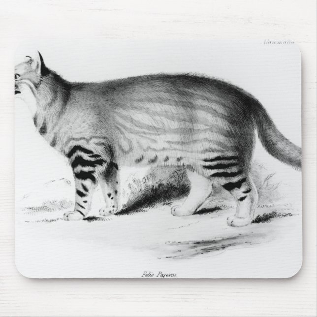 Felis Pajeros, Platte 9 Mousepad (Vorne)