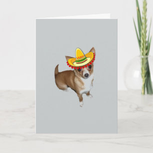Feliz Cinco De Mayo Karte