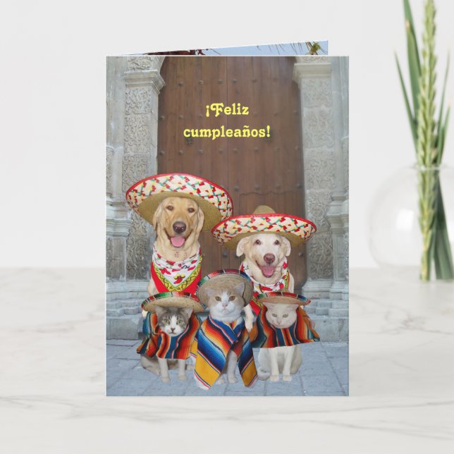 ¡Feliz cumpleaños! Karte (Vorderseite)