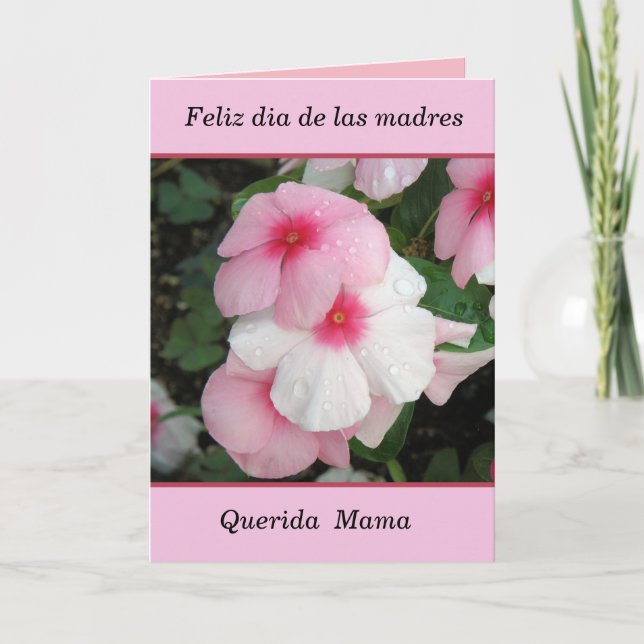 Feliz dia de las madres mama karte (Vorderseite)