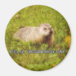 Feliz Groundhog Day Magnet