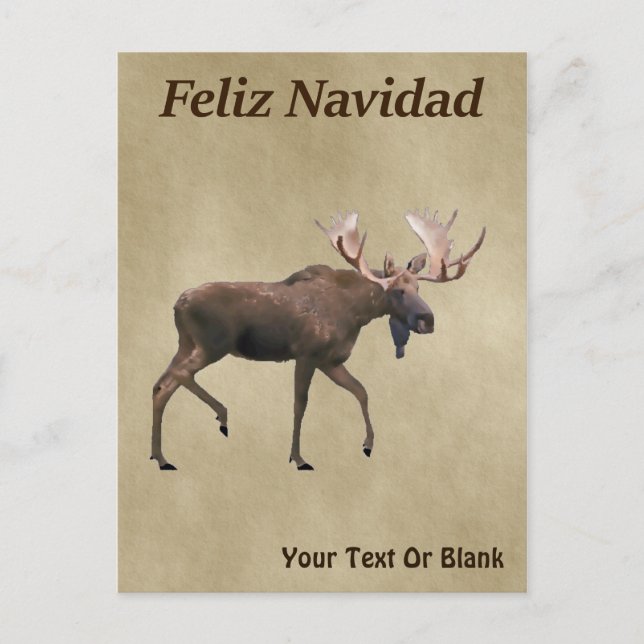 Feliz Navidad - Bull Moose auf altem Papier Postkarte (Vorderseite)