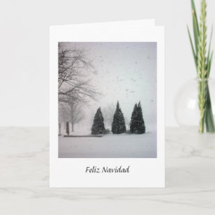 Feliz Navidad Card Karte