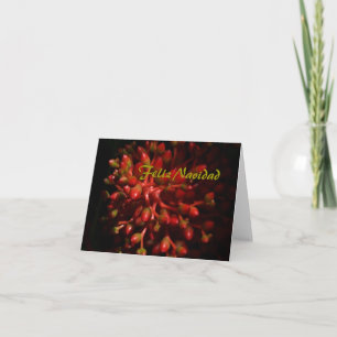 Feliz Navidad Feiertagskarte