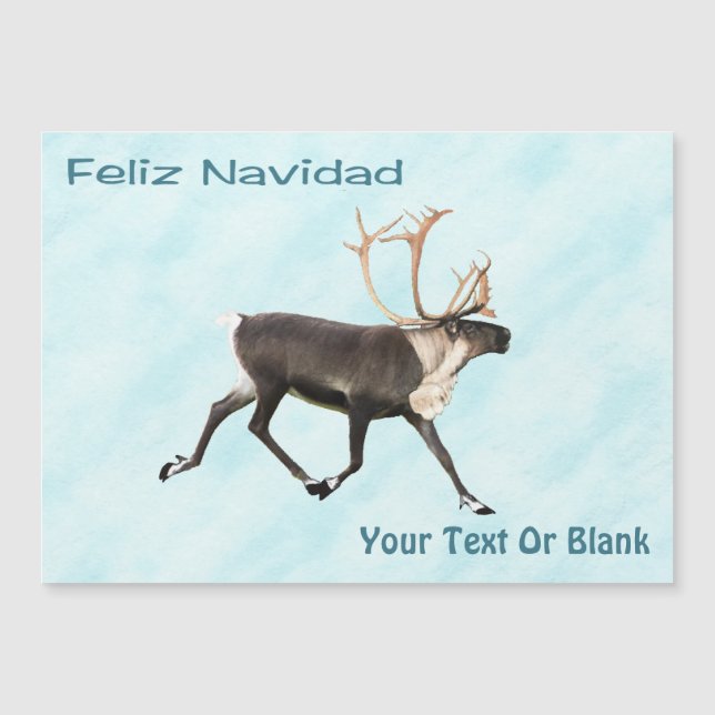 Feliz Navidad - Karibik (Rentier) auf Schnee Magnetkarte (Vorderseite)