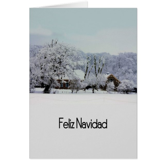 Feliz Navidad Spanish Christmas Card (Vorne)