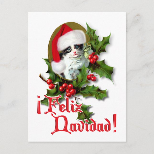 Feliz Navidad - Weihnachtskitten Feiertagspostkarte (Vorderseite)