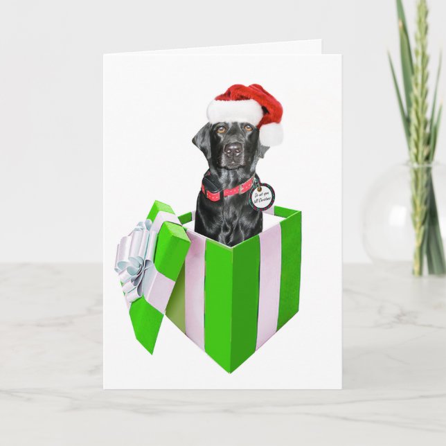 Feliz Navidog Feiertagskarte (Vorderseite)