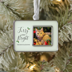 Fellige und helle Tierfoto Rahmen-Ornament Silber