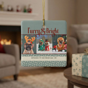 Felliger und heller Hund Weihnachtsfoto Urlaub Keramikornament