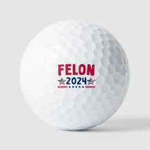 Felon 2024 Geschenk | USA Sarcastic Politics