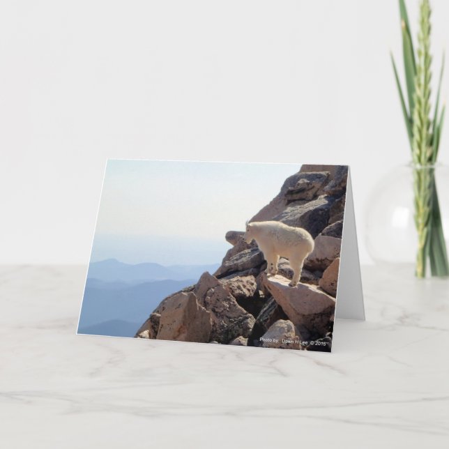 Felsberg Hoch Karte (Vorderseite)