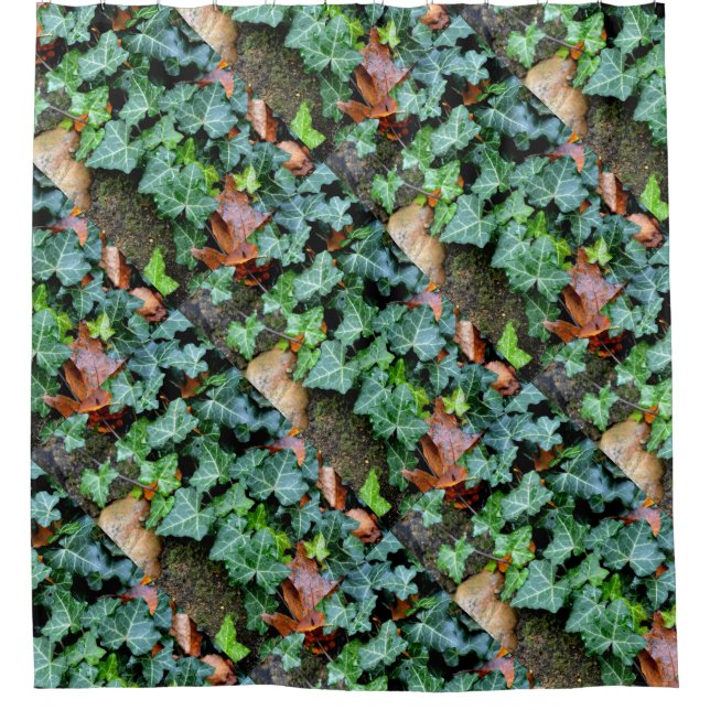 Felsblöcke, Efeu, Gartenwand, botanische Dekoratio Duschvorhang (Vorderseite)