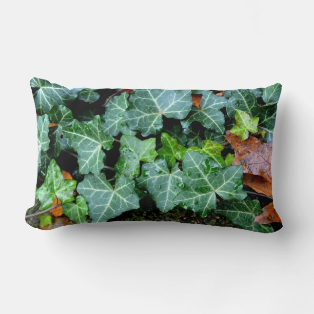 Felsblöcke, Efeu, Gartenwand, botanische Dekoratio Lendenkissen (Vorderseite)