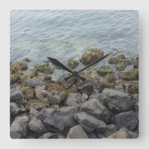 Felsen am Meer