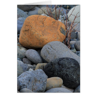 Felsen am Rotholz-Wald