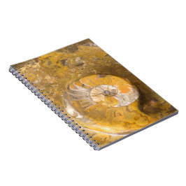 Felsen, der viele Fossilien u. Ammonit-Foto Notizblock