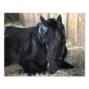 Felsen-Fall durch Speightstown - Renda Fotodruck