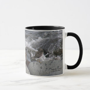 Felsen-Flussuferläufer (Calidris ptilocnemis) Tasse