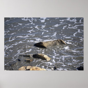 Felsen im Ozean Poster