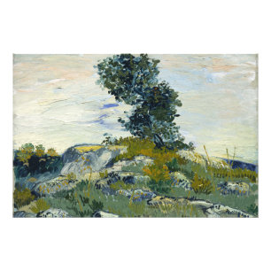 Felsen mit Eiche, Van Gogh Ölmalerei Fotodruck